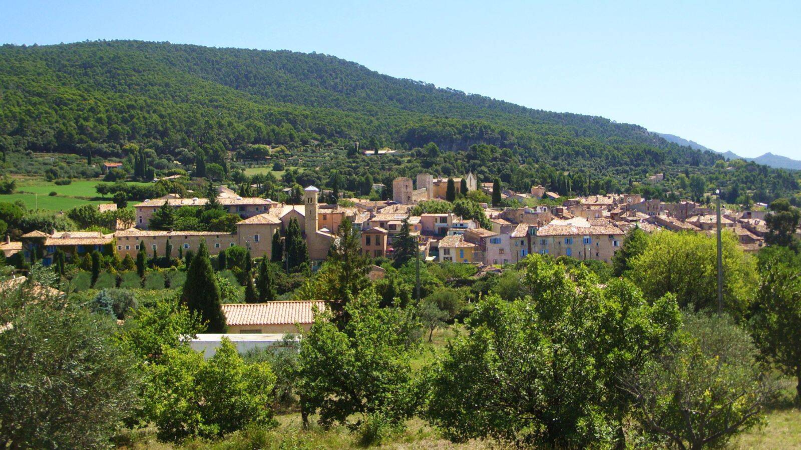 village-aups